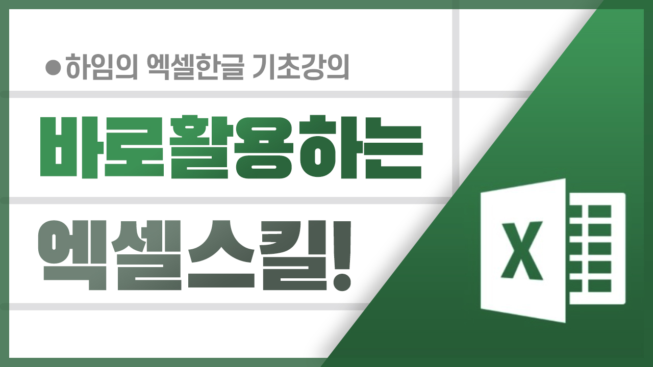 바로 활용하는, Excel