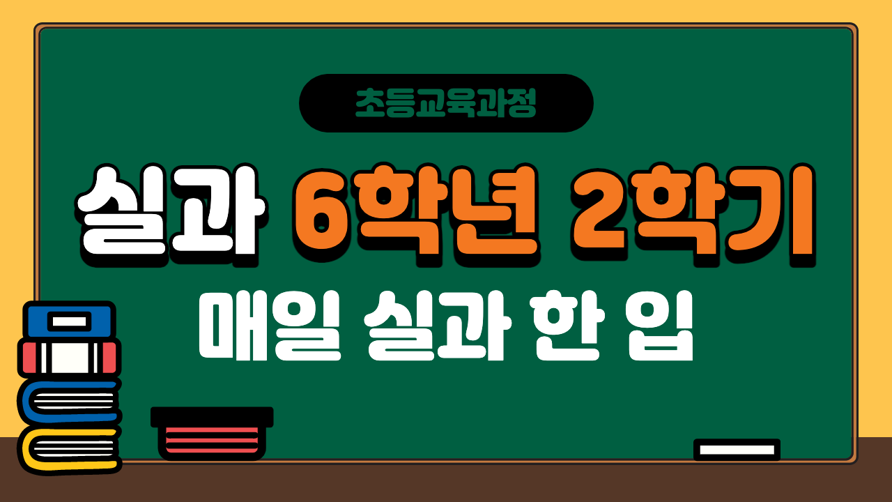 실과 6-2 매일 실과 한 입